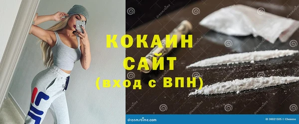 шишки Касимов
