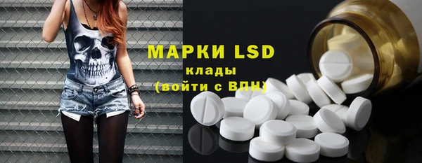 стафф Карпинск