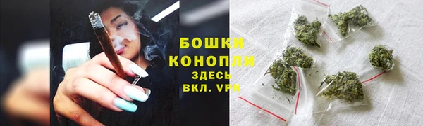 шишки Касимов