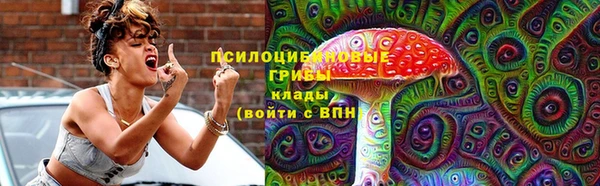 стафф Карпинск