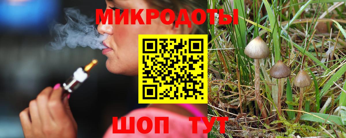 Тайшет  Галлюциногенные грибы мухоморы  Вход с VPN 